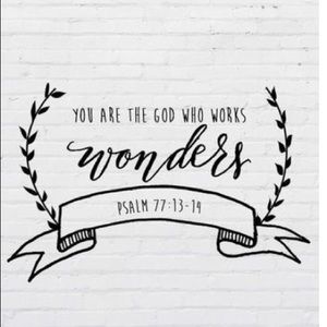 Meet your Posher, Jesseca